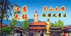 欧美特级黄色精品在线视频免费观看江苏无锡灵山大佛旅游风景区
